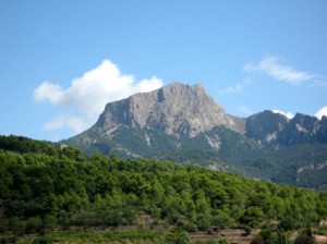 puig-major-falguera 3