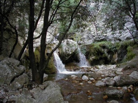 Biniaraix ravine Biniaraix ravine