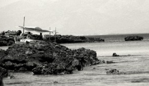 llaut3