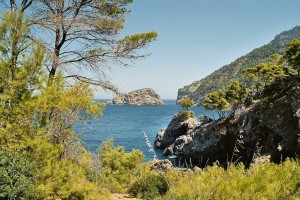 ses-puntes1