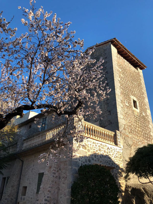 almendro florido hotel es port
